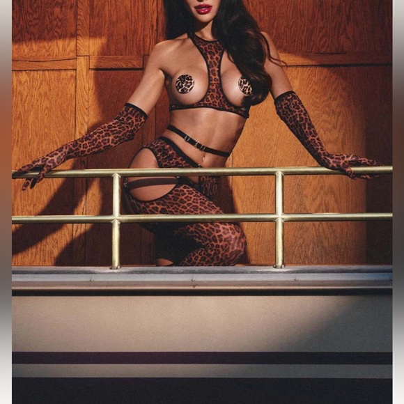 HONEY BIRDETTE 💋💋 SUMI
LEOPARD GLOVES‼️‼️ - Picture 1 of 6
